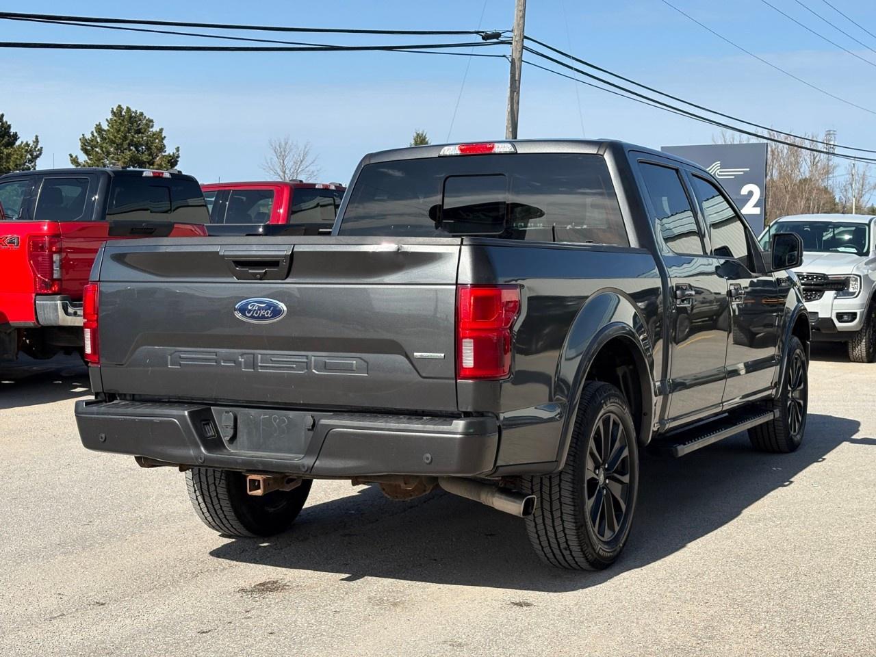2019 Ford F-150  Photo