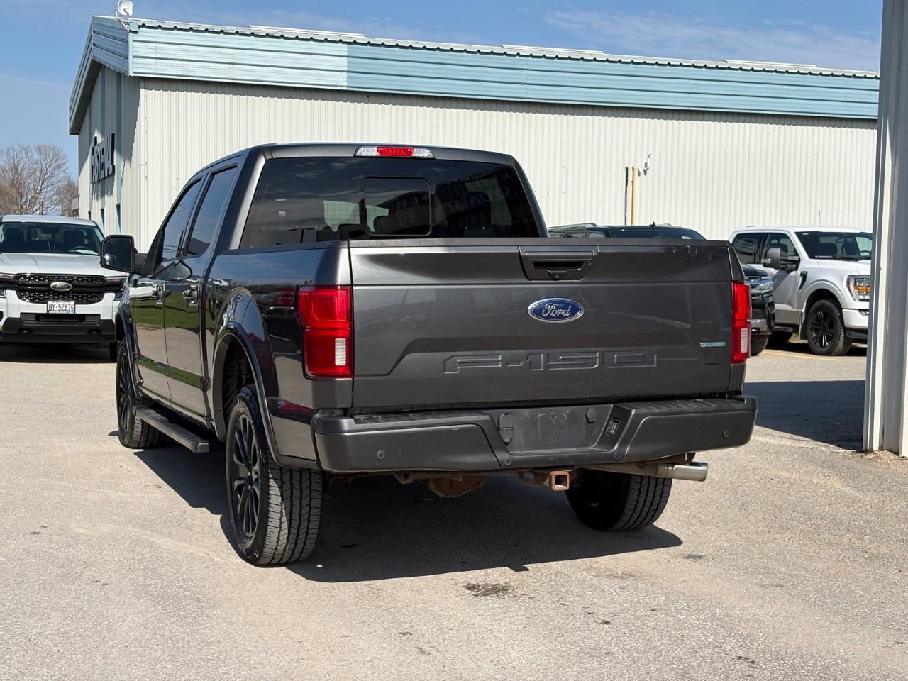 2019 Ford F-150  Photo