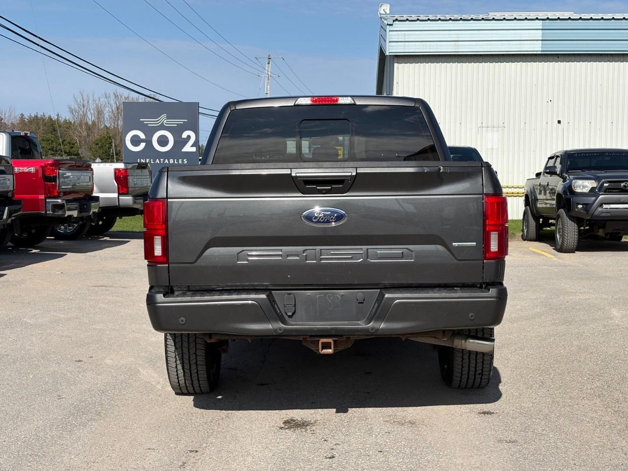 2019 Ford F-150  Photo