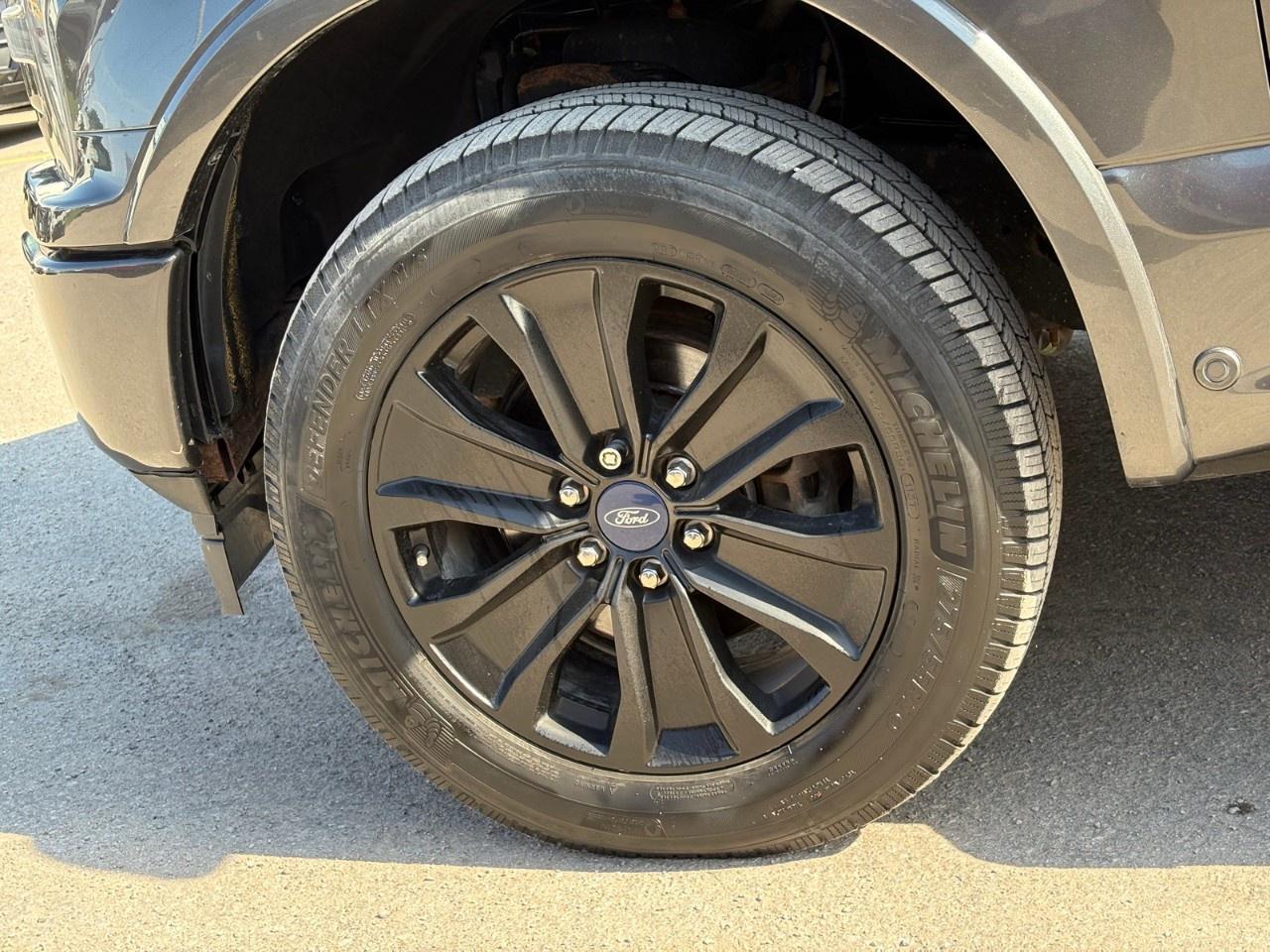 2019 Ford F-150  Photo