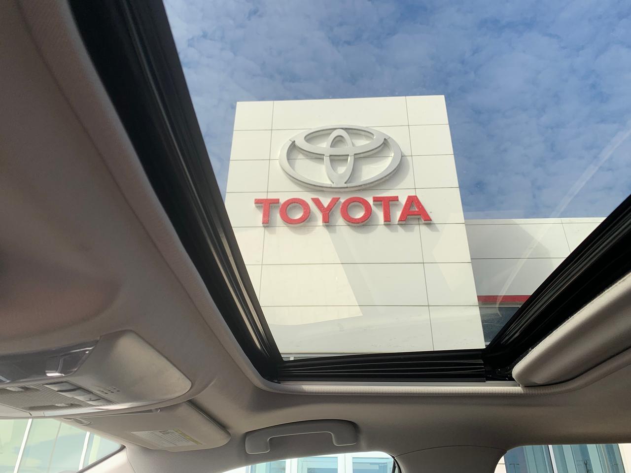 2020 Toyota RAV4 XLE Photo