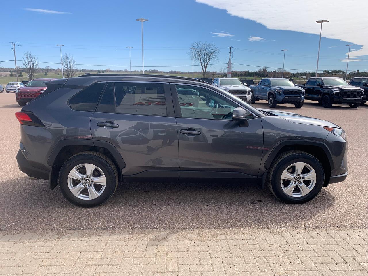 2020 Toyota RAV4 XLE Photo