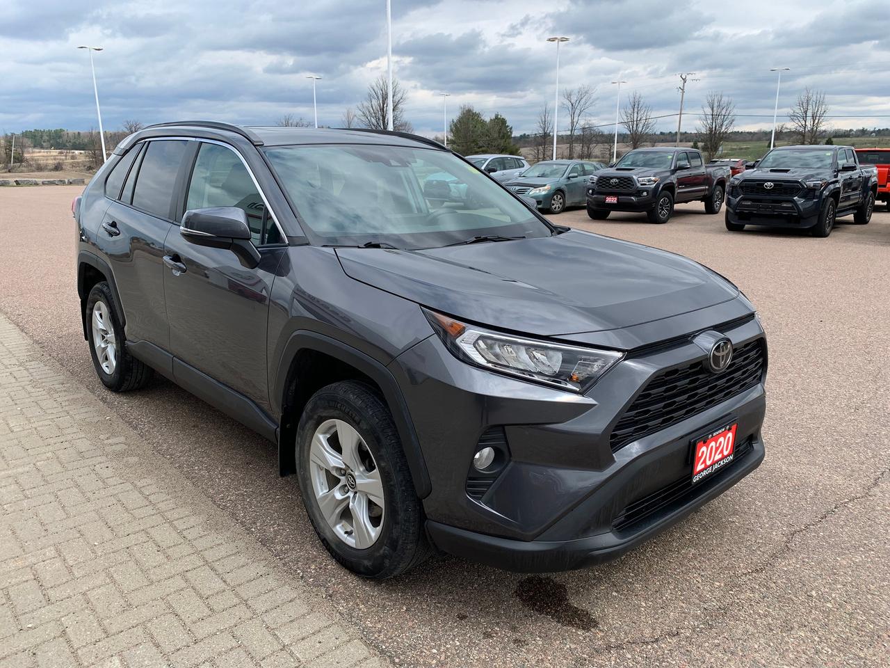 2020 Toyota RAV4 XLE Photo