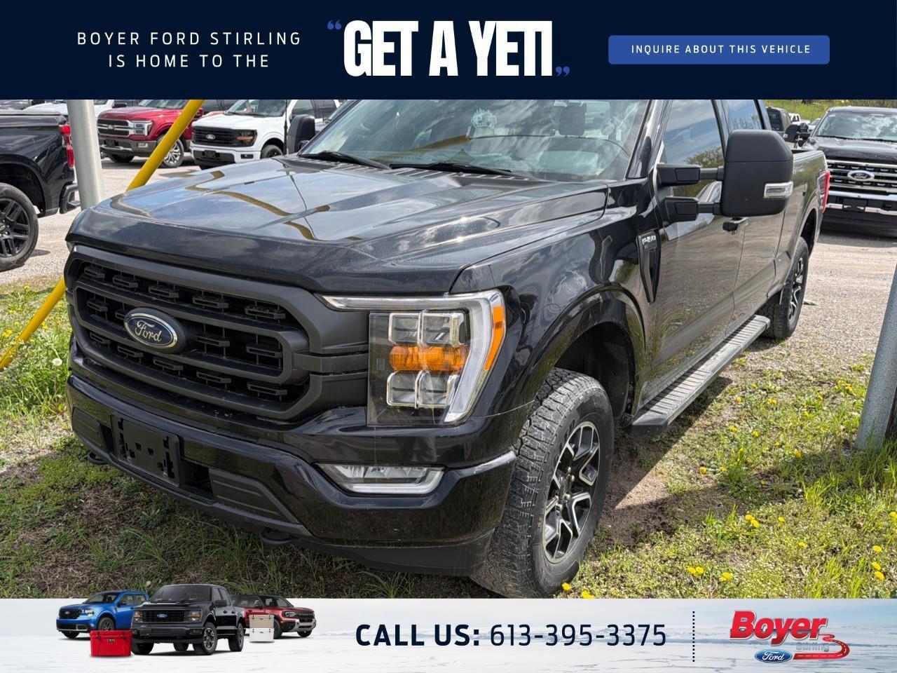 2022 Ford F-150  Photo