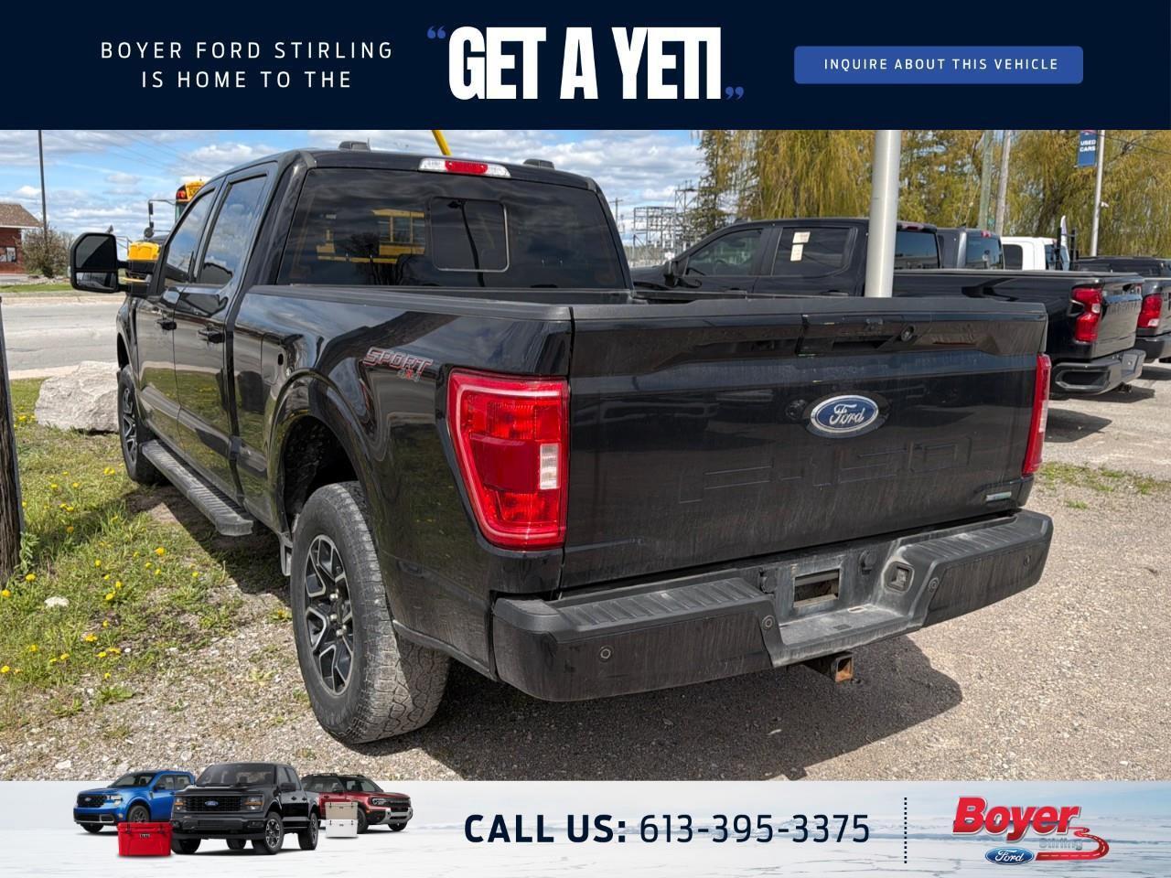 2022 Ford F-150  Photo