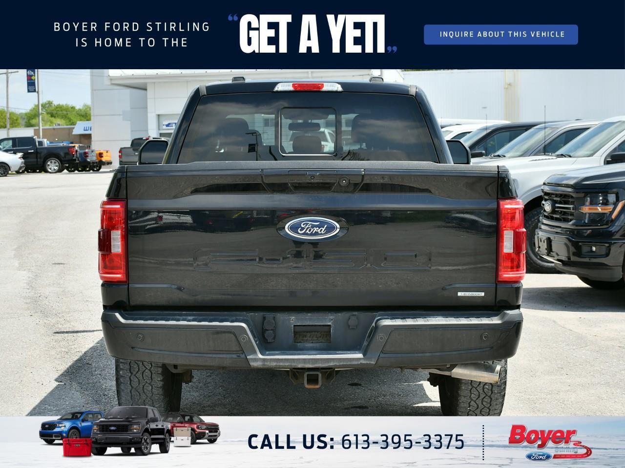 2022 Ford F-150 XLT Photo