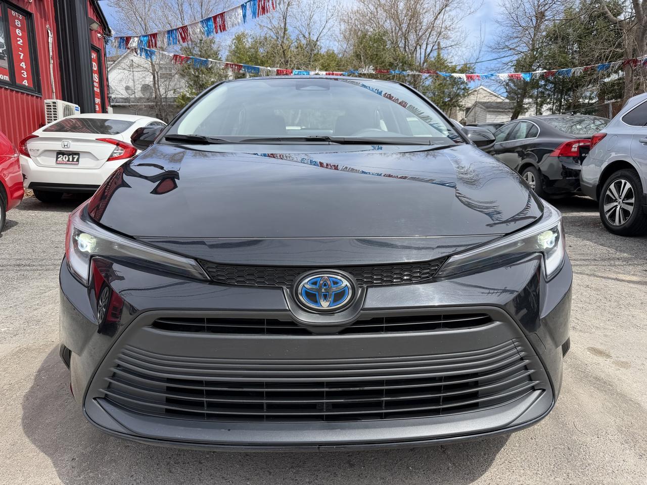 2024 Toyota Corolla LE Hybrid AWD Photo
