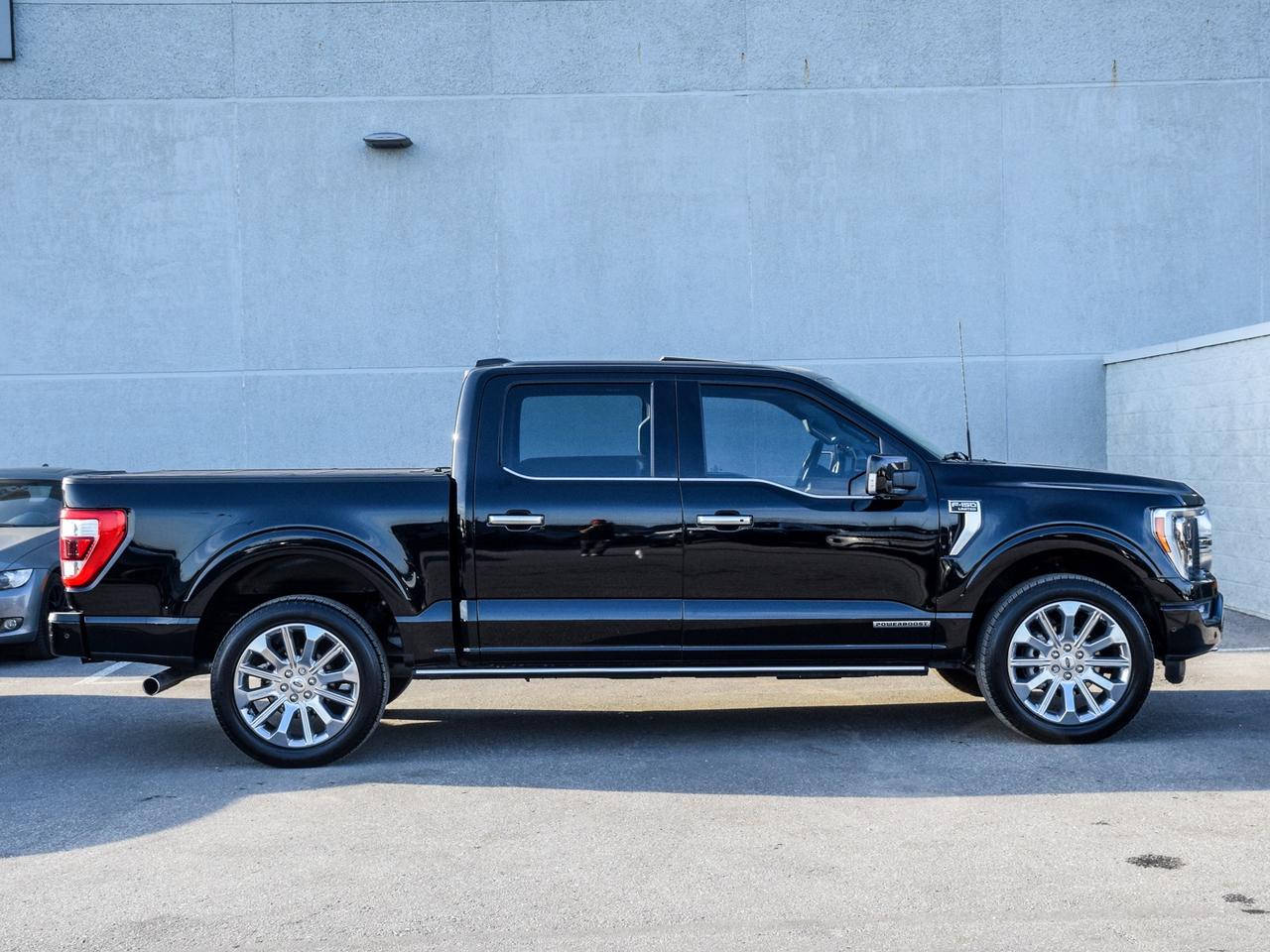 2023 Ford F-150 Limited    NO HAGGLING. NO FEES. JUST ONE PRICE Photo