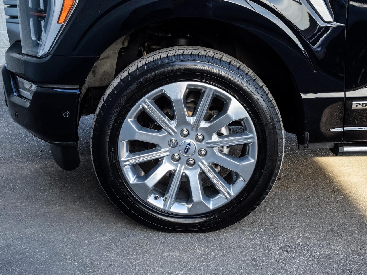 2023 Ford F-150 Limited    NO HAGGLING. NO FEES. JUST ONE PRICE Photo