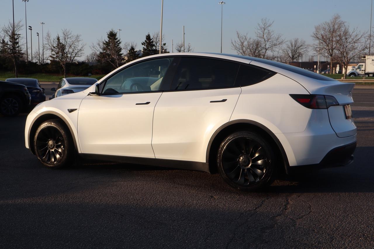 2023 Tesla Model Y Standard Range Plus   No Accident   Clean Carfax Photo4