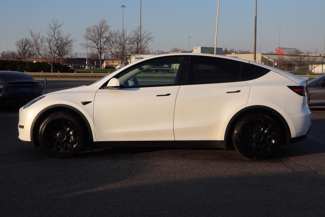 2023 Tesla Model Y Standard Range Plus   No Accident   Clean Carfax Photo3