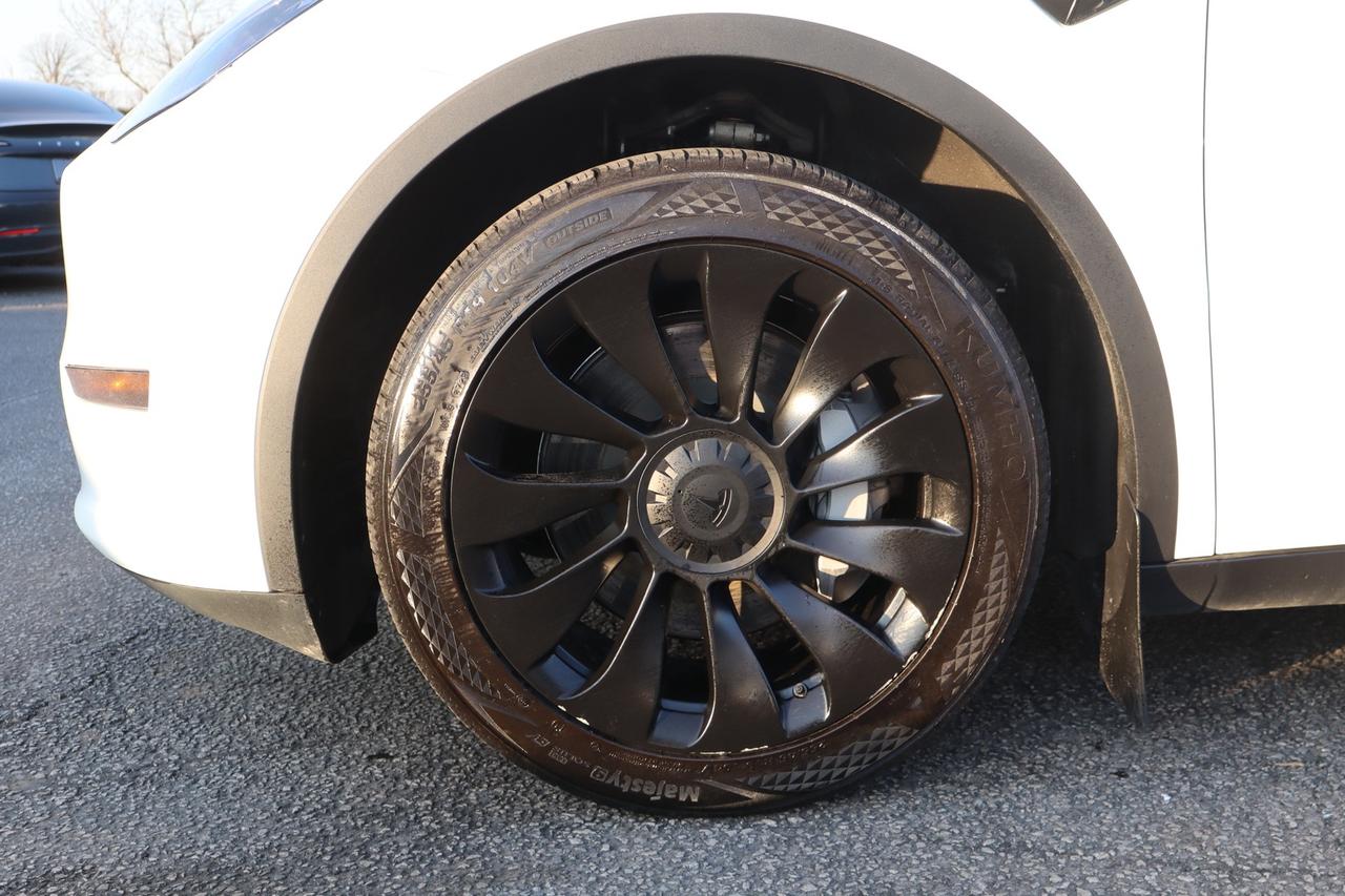 2023 Tesla Model Y Standard Range Plus   No Accident   Clean Carfax Photo