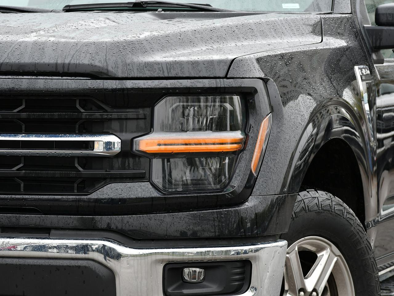 2024 Ford F-150 XLT 4X4   SUPERCREW   GREAT VALUE Photo