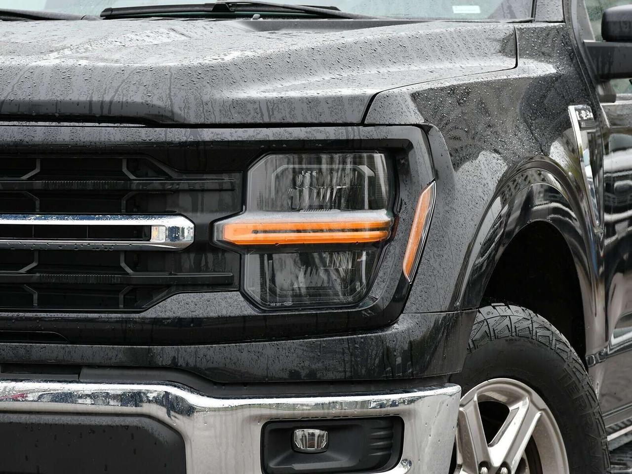 2024 Ford F-150 XLT 4X4   SUPERCREW   GREAT VALUE Photo