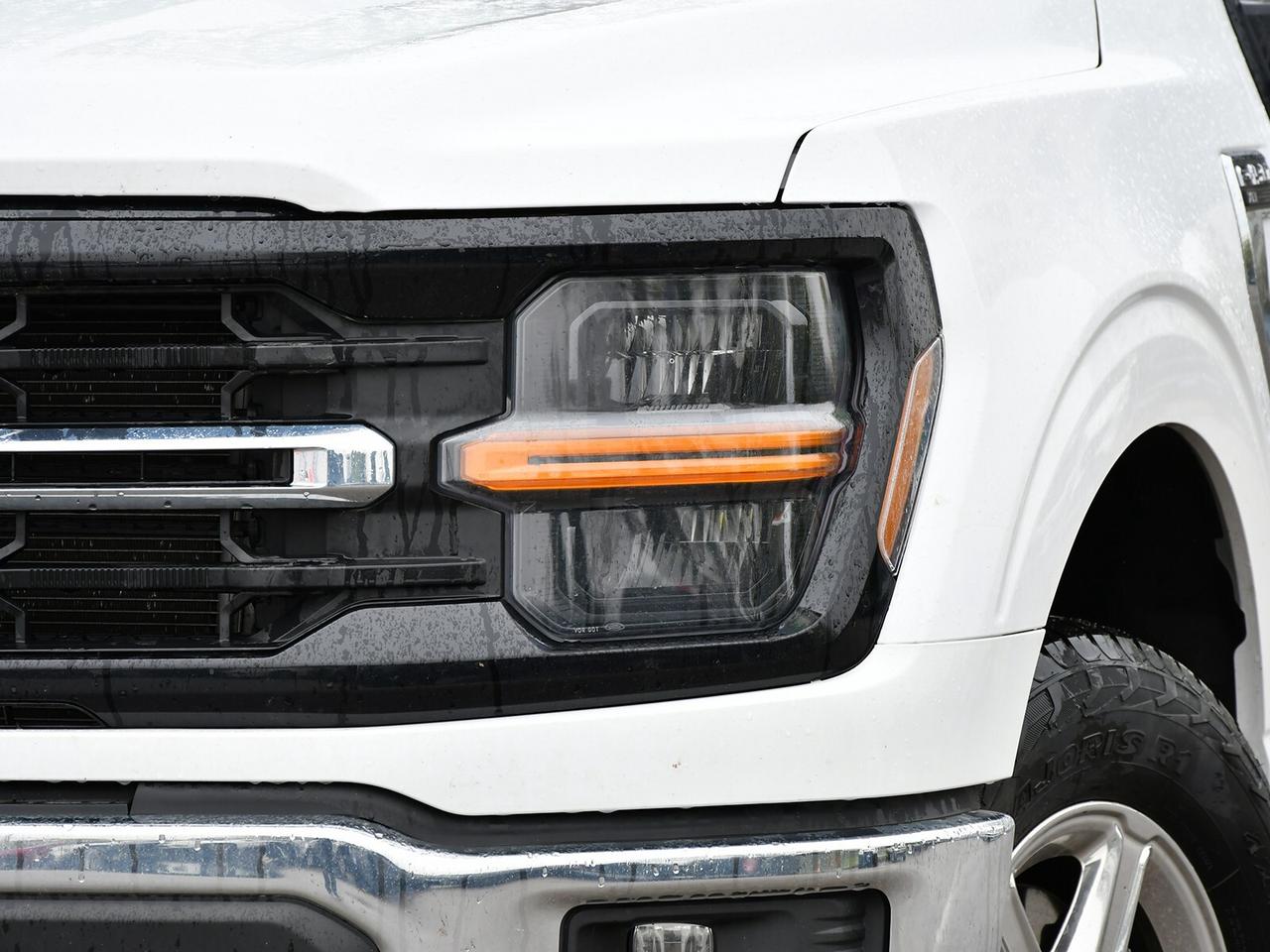 2024 Ford F-150 4X4   5.0L   READY TO WORK Photo2