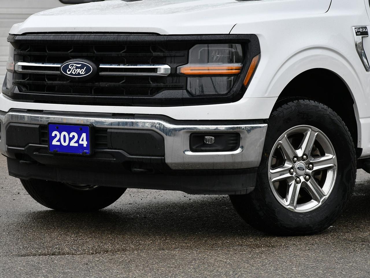 2024 Ford F-150 4X4   5.0L   READY TO WORK Photo