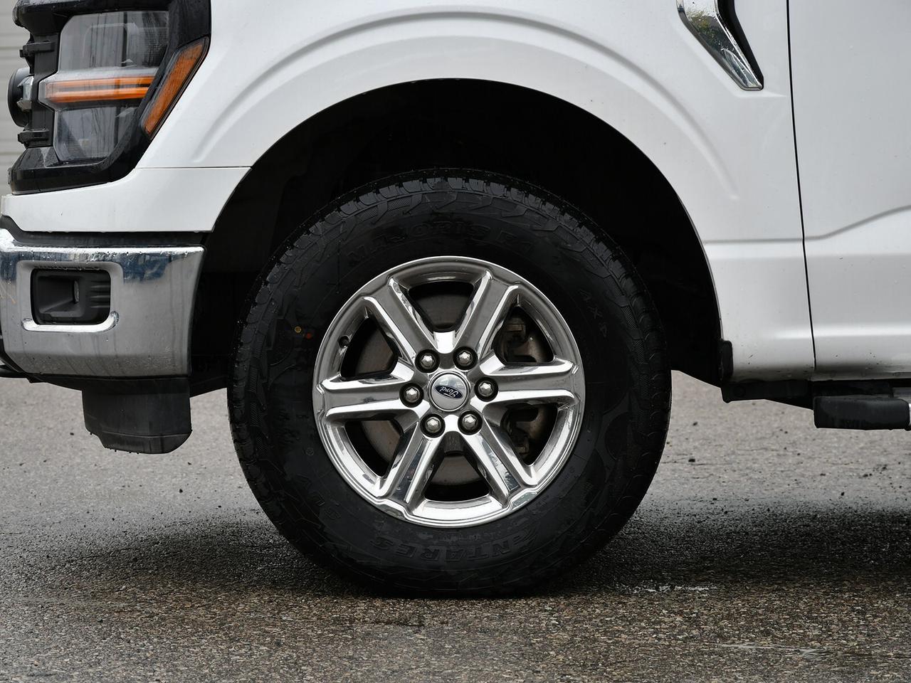2024 Ford F-150 4X4   5.0L   READY TO WORK Photo