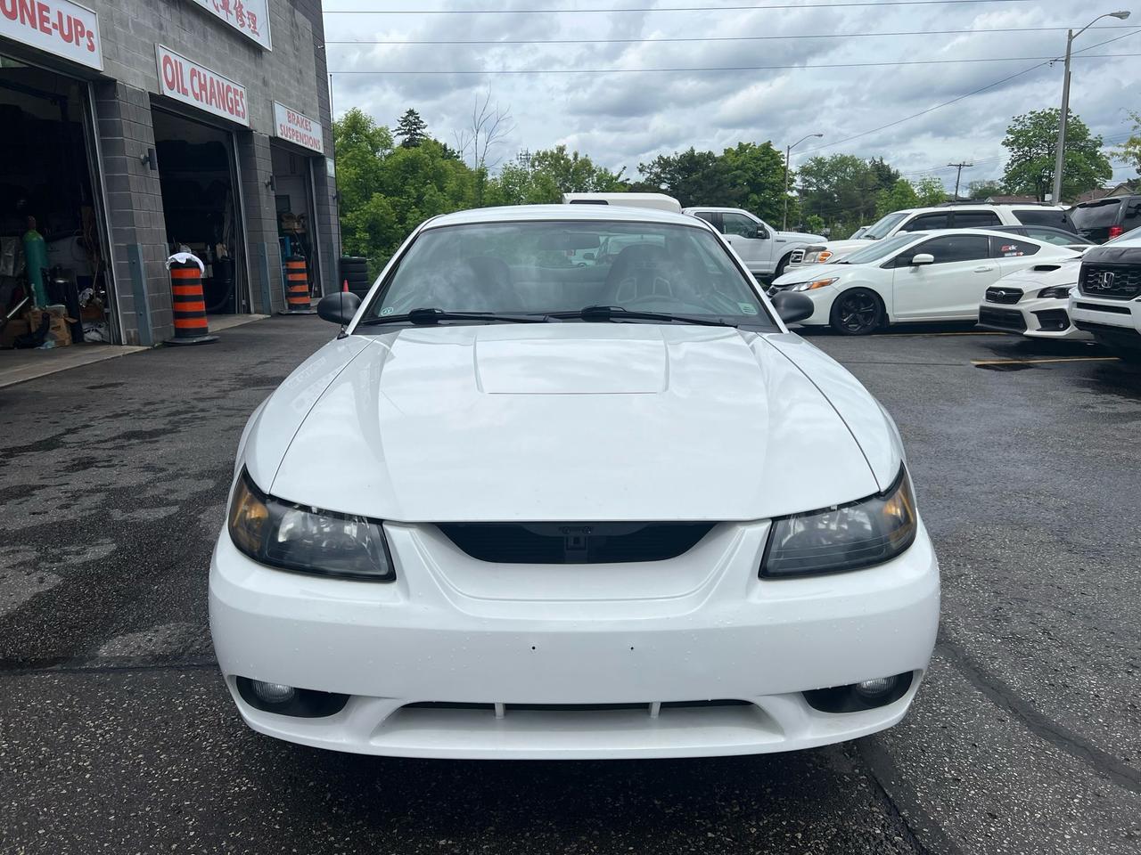 2001 Ford Mustang 2dr Cpe SVT Cobra only 36834kms Photo2