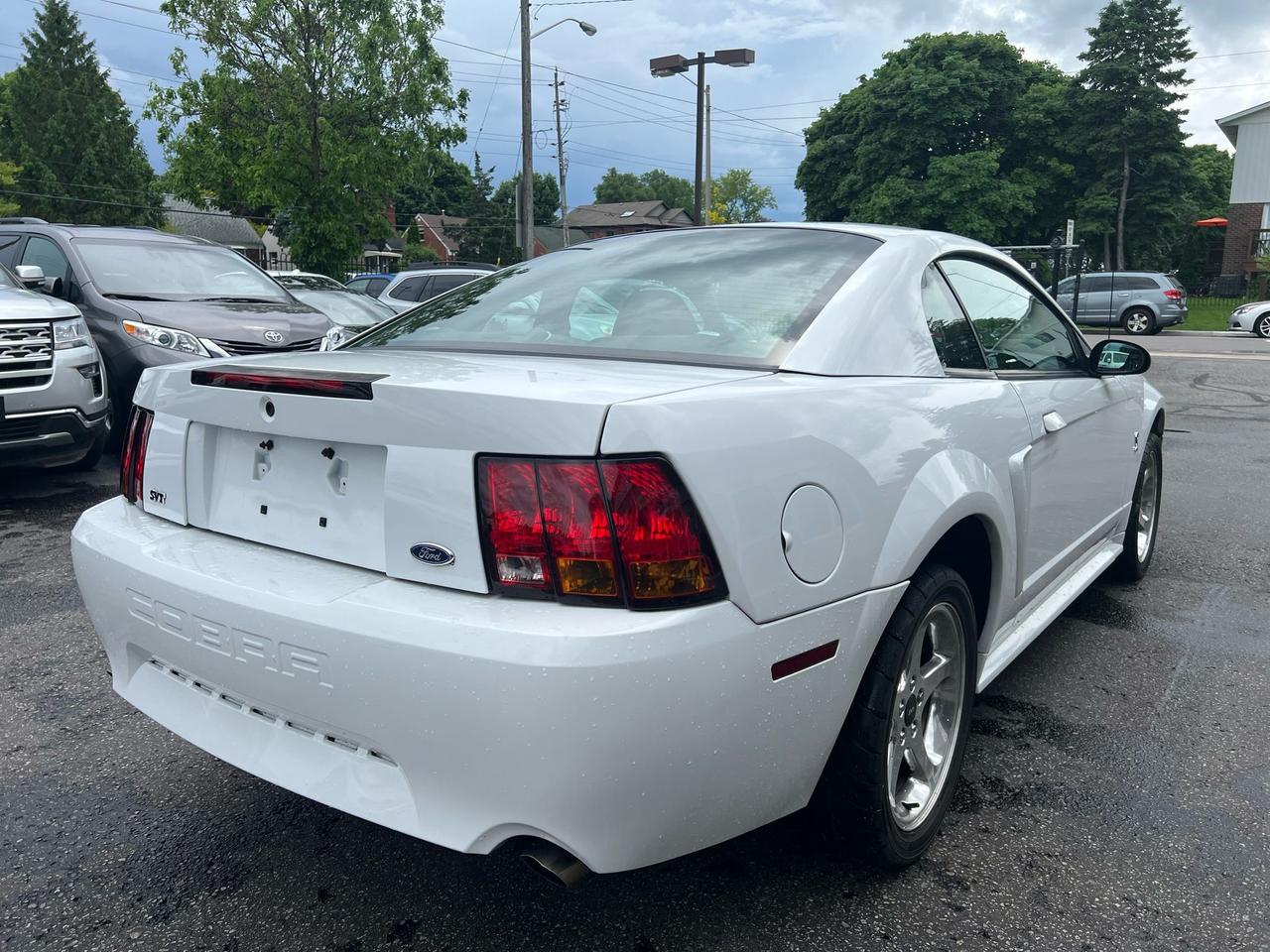 2001 Ford Mustang 2dr Cpe SVT Cobra only 36834kms Photo
