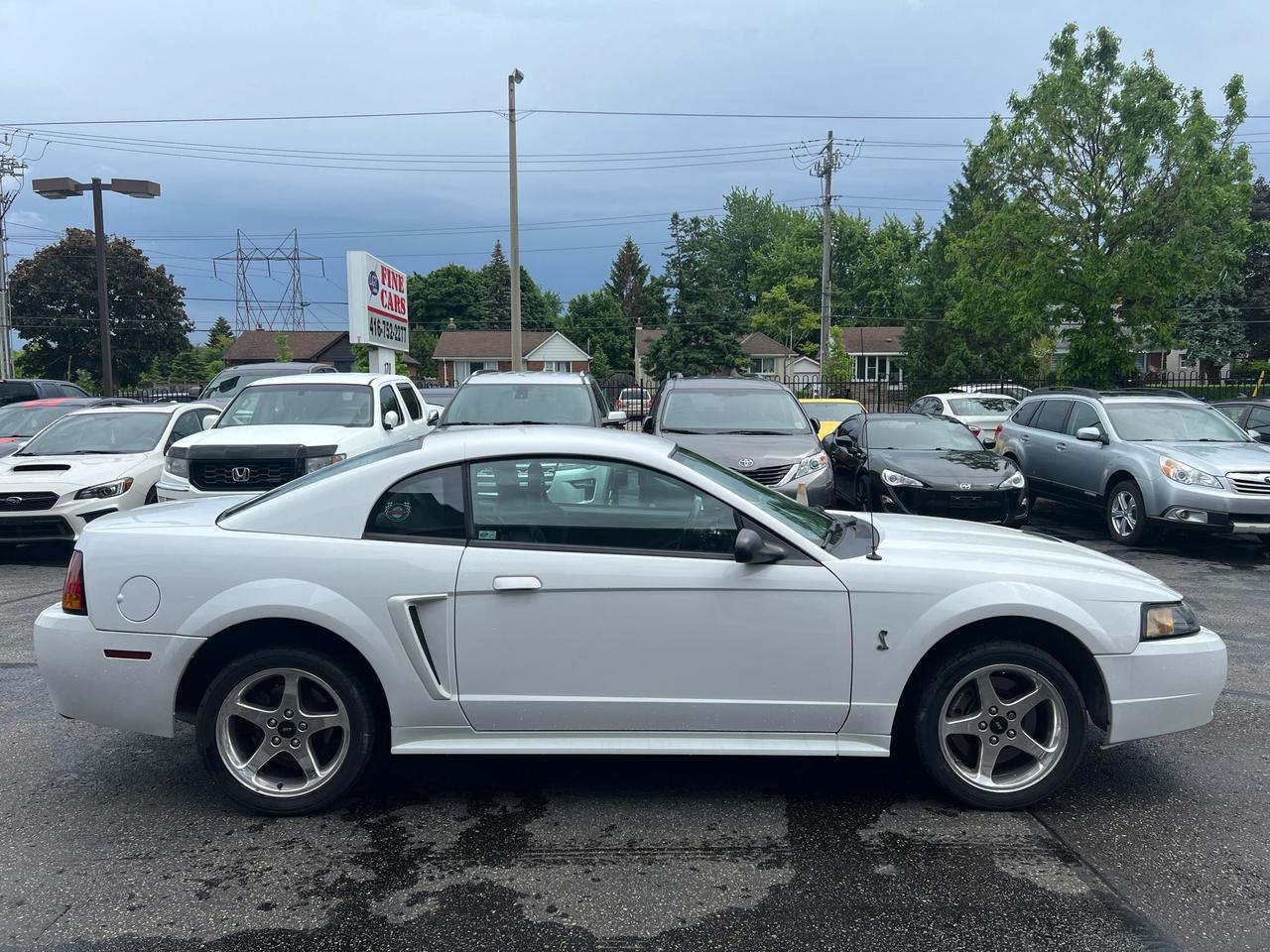 2001 Ford Mustang 2dr Cpe SVT Cobra only 36834kms Photo3