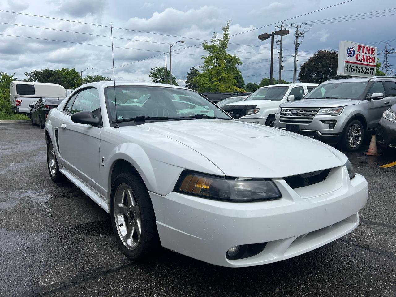 2001 Ford Mustang 2dr Cpe SVT Cobra only 36834kms Photo
