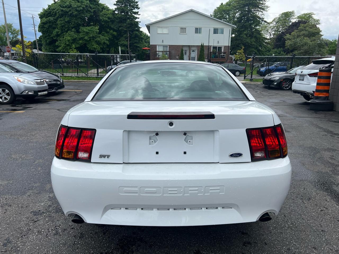 2001 Ford Mustang 2dr Cpe SVT Cobra only 36834kms Photo