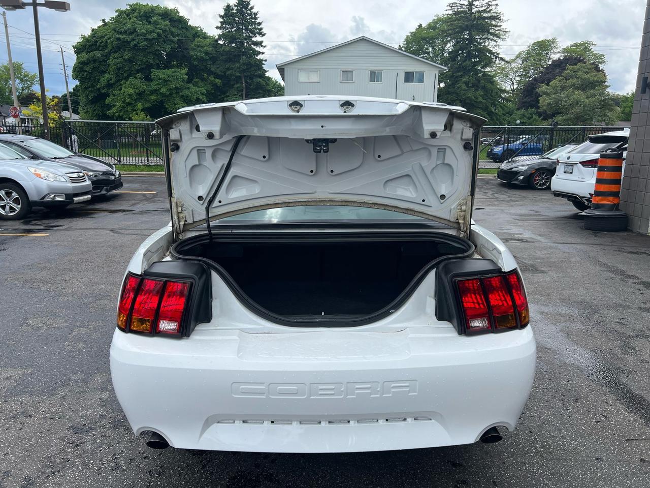 2001 Ford Mustang 2dr Cpe SVT Cobra only 36834kms Photo
