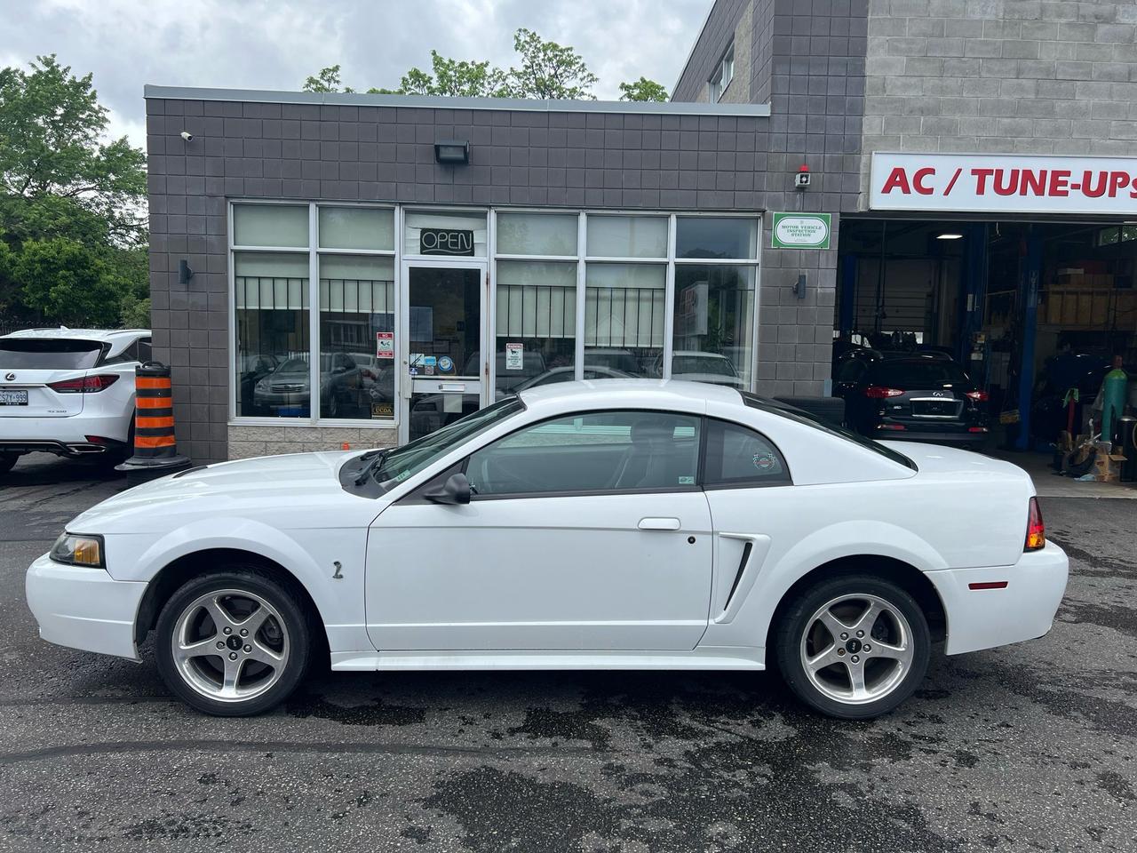 2001 Ford Mustang 2dr Cpe SVT Cobra only 36834kms Photo