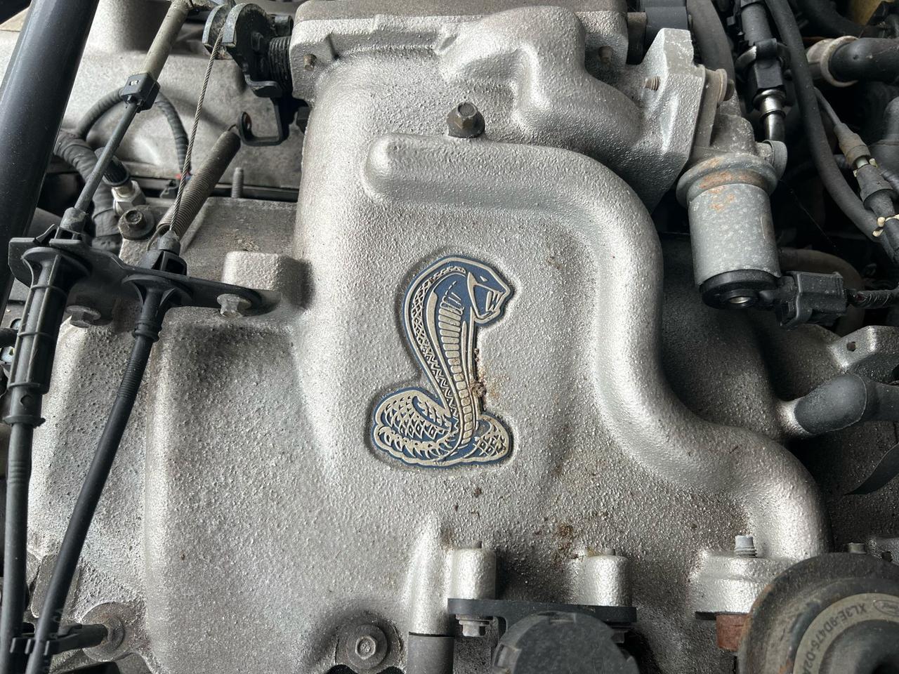 2001 Ford Mustang 2dr Cpe SVT Cobra only 36834kms Photo