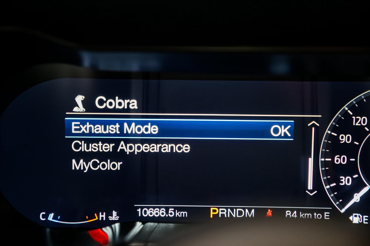 2021 Ford Mustang SHELBY GT500 CARBON TRACK PKG 760HP PAINTEDSTRIPES Photo