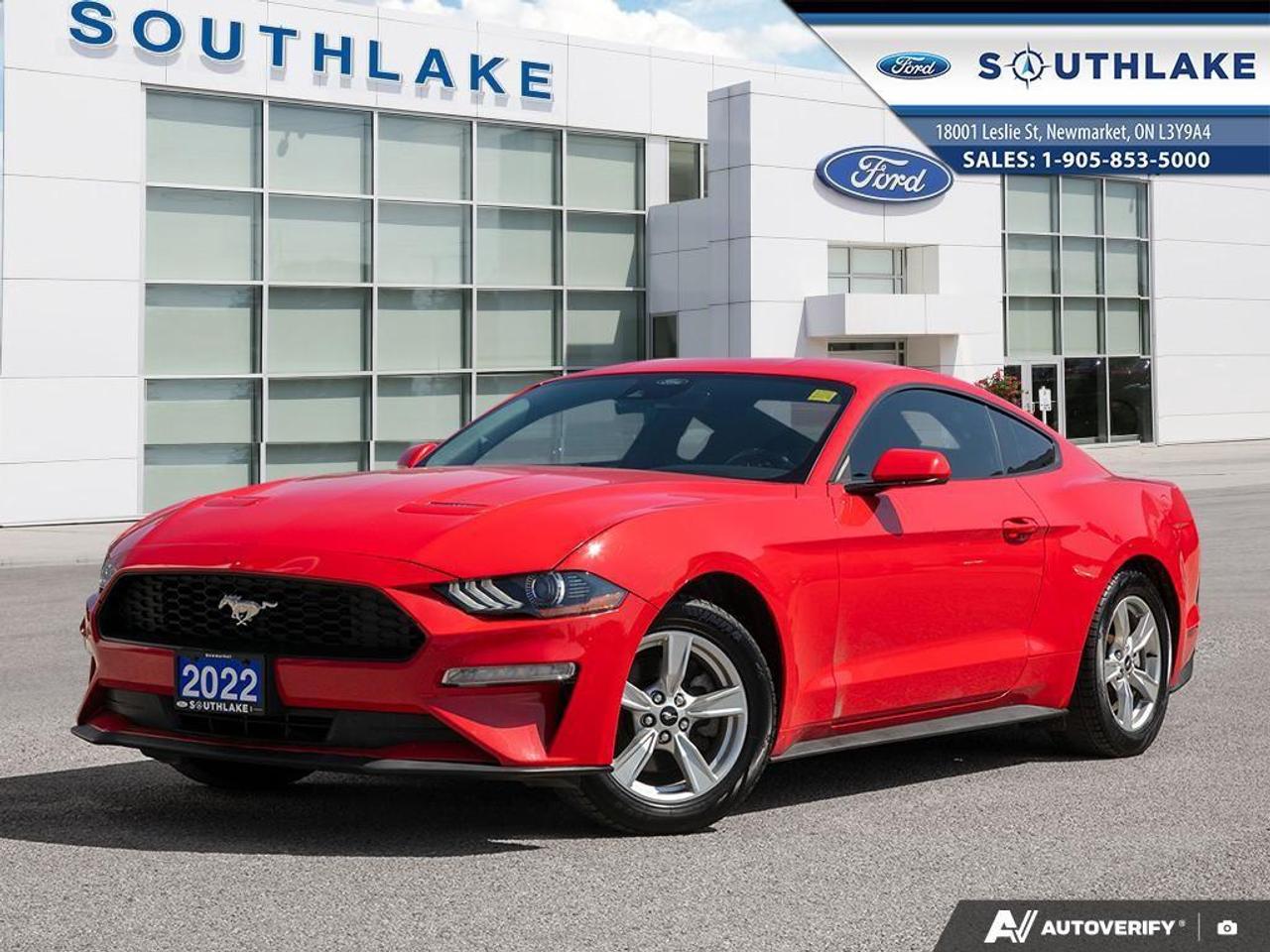 Used 2022 Ford Mustang EcoBoost 2dr Fastback for sale in Newmarket, ON