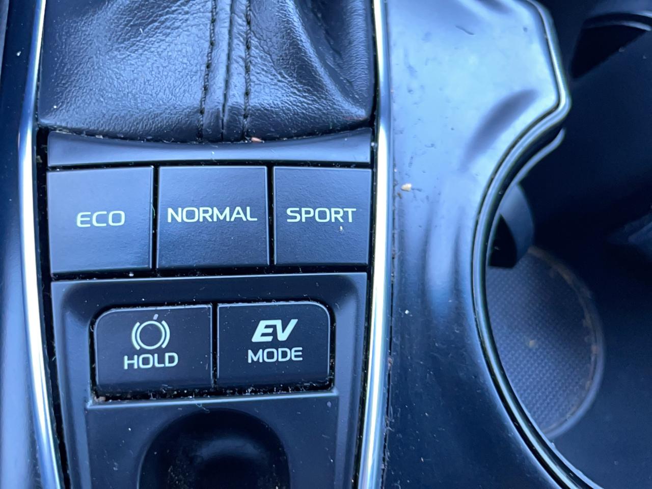 2019 Toyota Camry HYBRID SE Photo