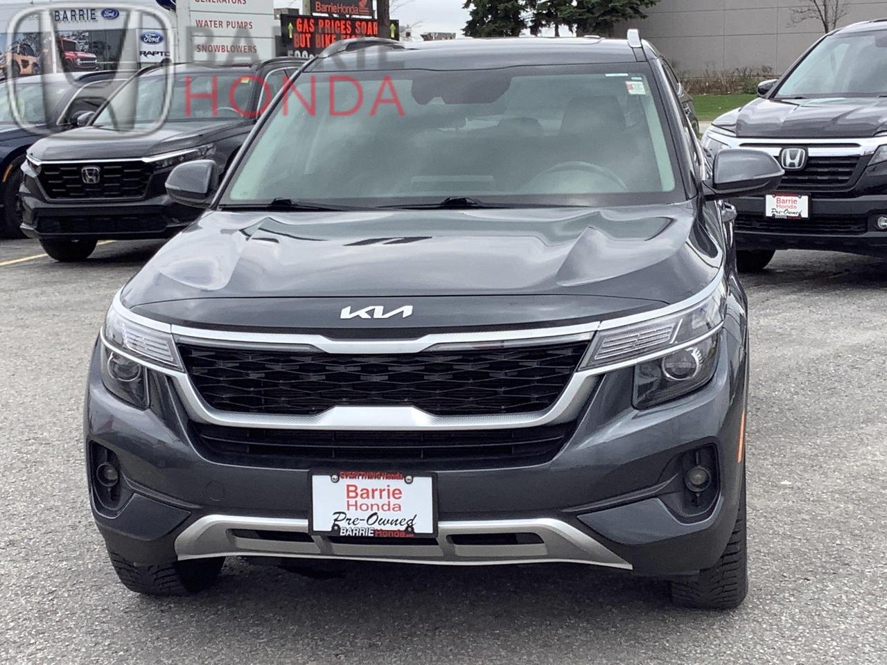 2022 Kia Seltos EX 4dr All-Wheel Drive Photo