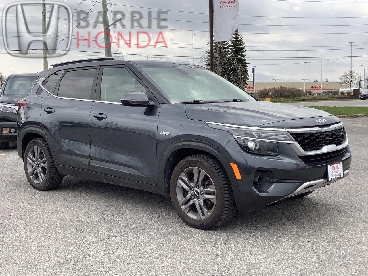 2022 Kia Seltos EX 4dr All-Wheel Drive Photo