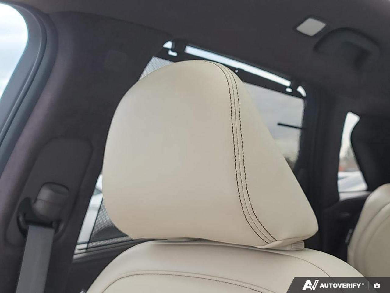 2021 Infiniti QX50 Sensory SUNROOF   HEADS UP DISPLAY   LEATHER   NAV Photo