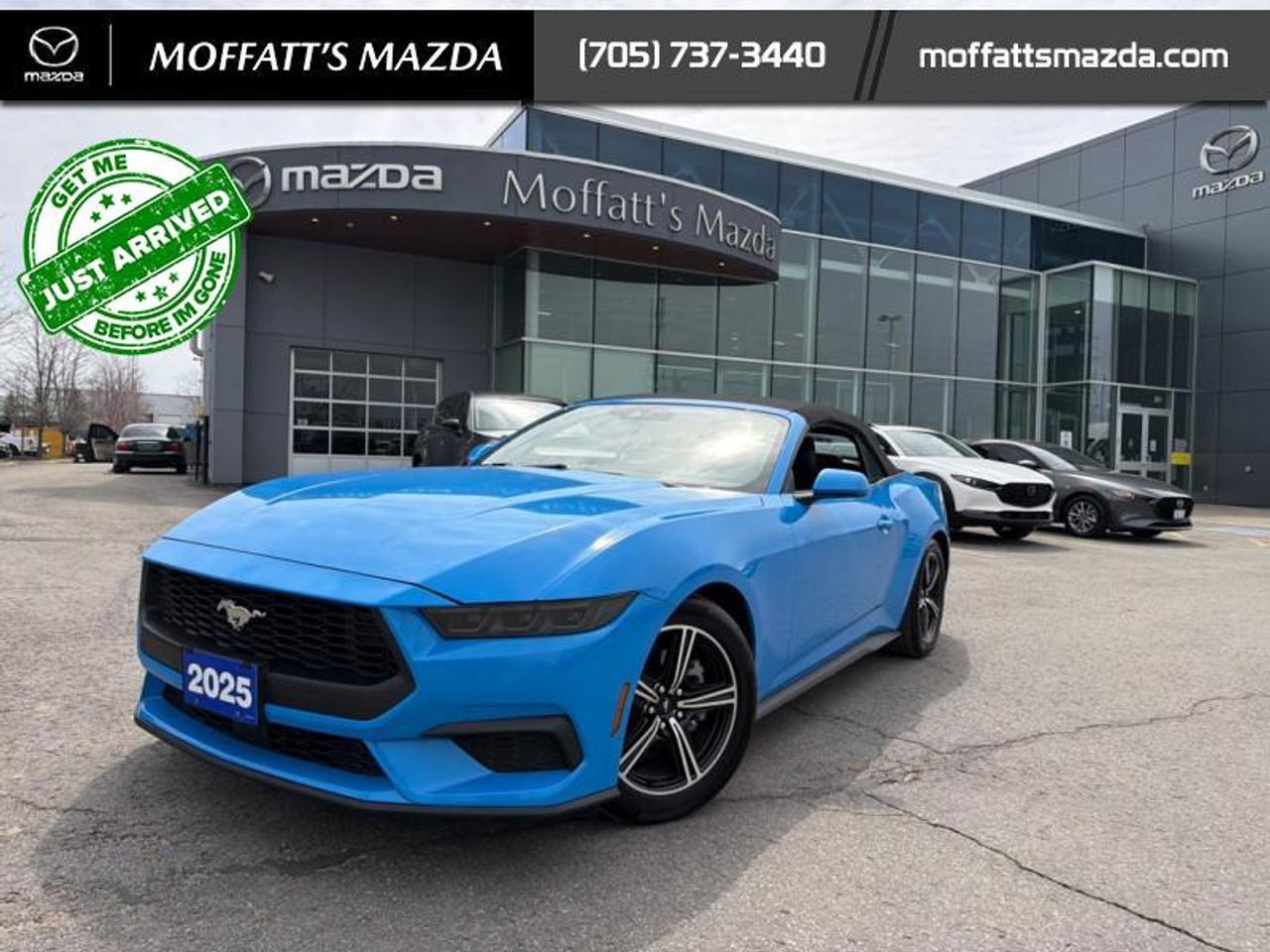 2025 Ford Mustang EcoBoost Photo