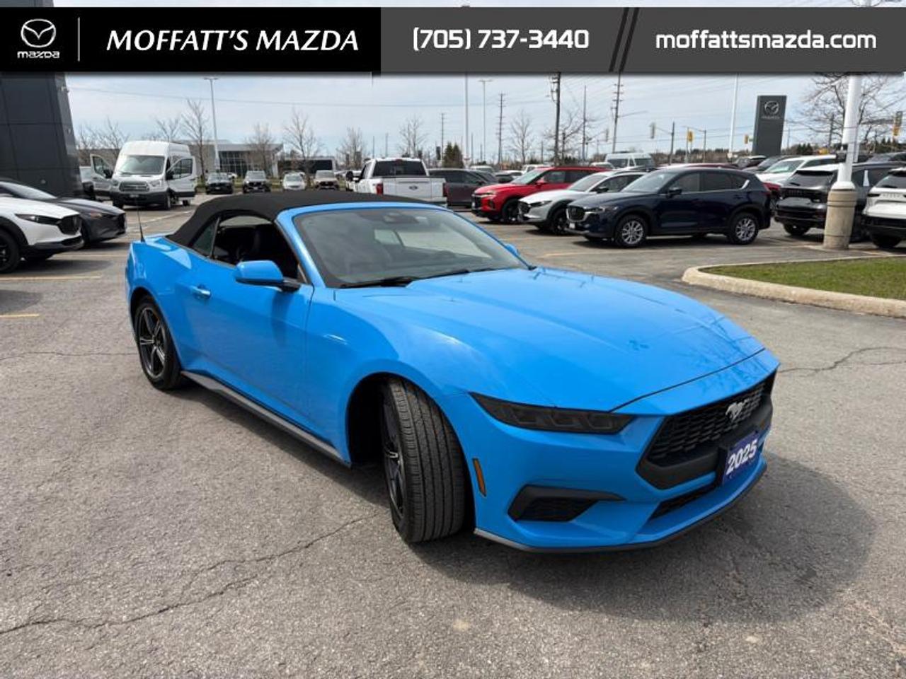 2025 Ford Mustang EcoBoost Photo