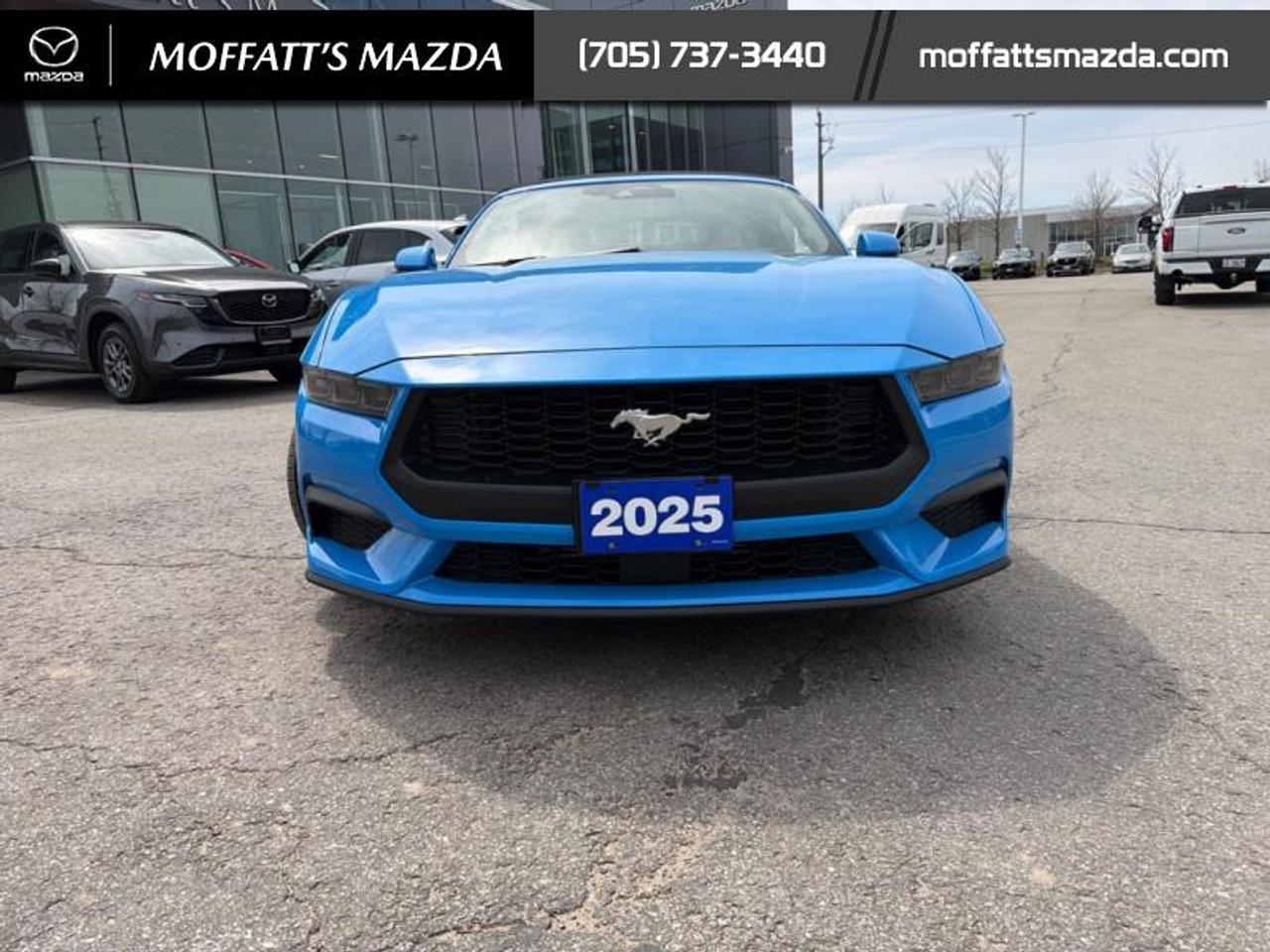 2025 Ford Mustang EcoBoost Photo