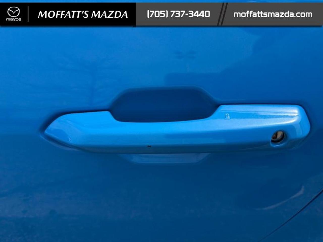 2025 Ford Mustang EcoBoost Photo