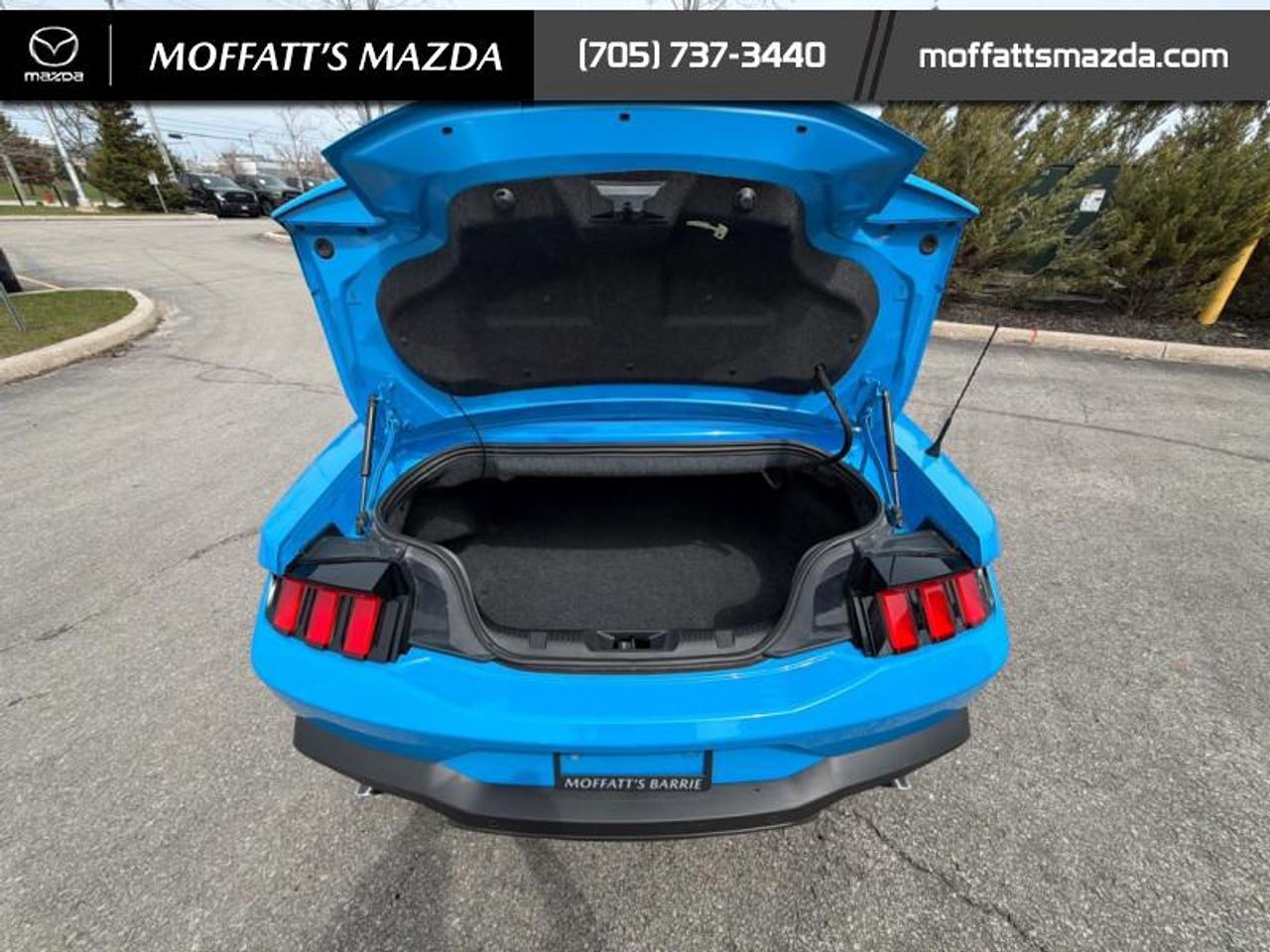 2025 Ford Mustang EcoBoost Photo