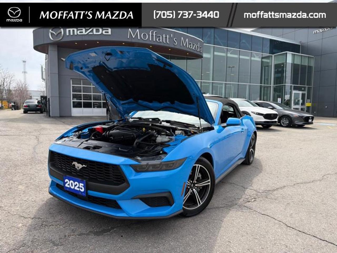 2025 Ford Mustang EcoBoost Photo