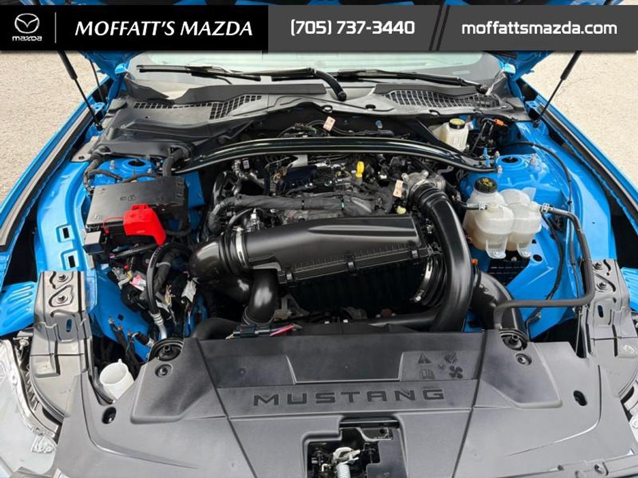 2025 Ford Mustang EcoBoost Photo