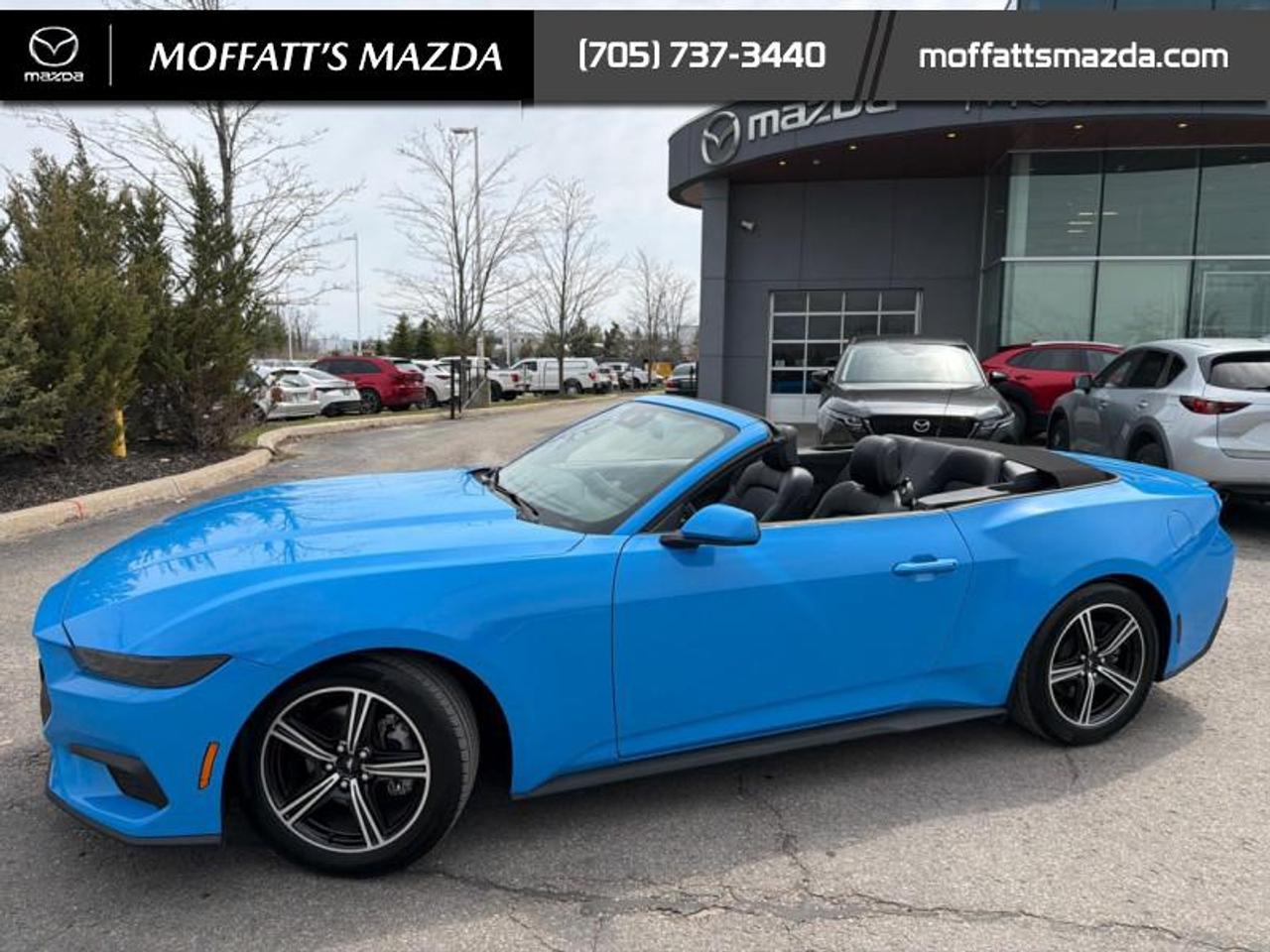 2025 Ford Mustang EcoBoost Photo