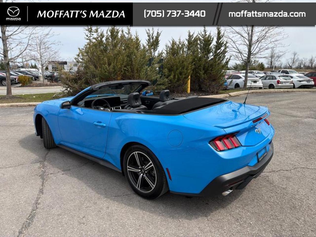 2025 Ford Mustang EcoBoost Photo