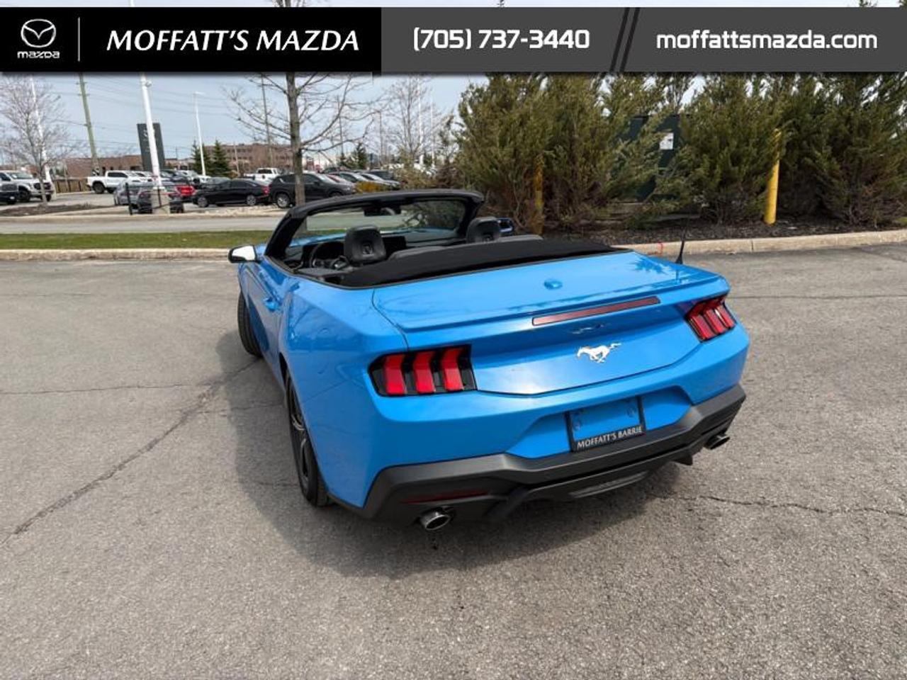 2025 Ford Mustang EcoBoost Photo