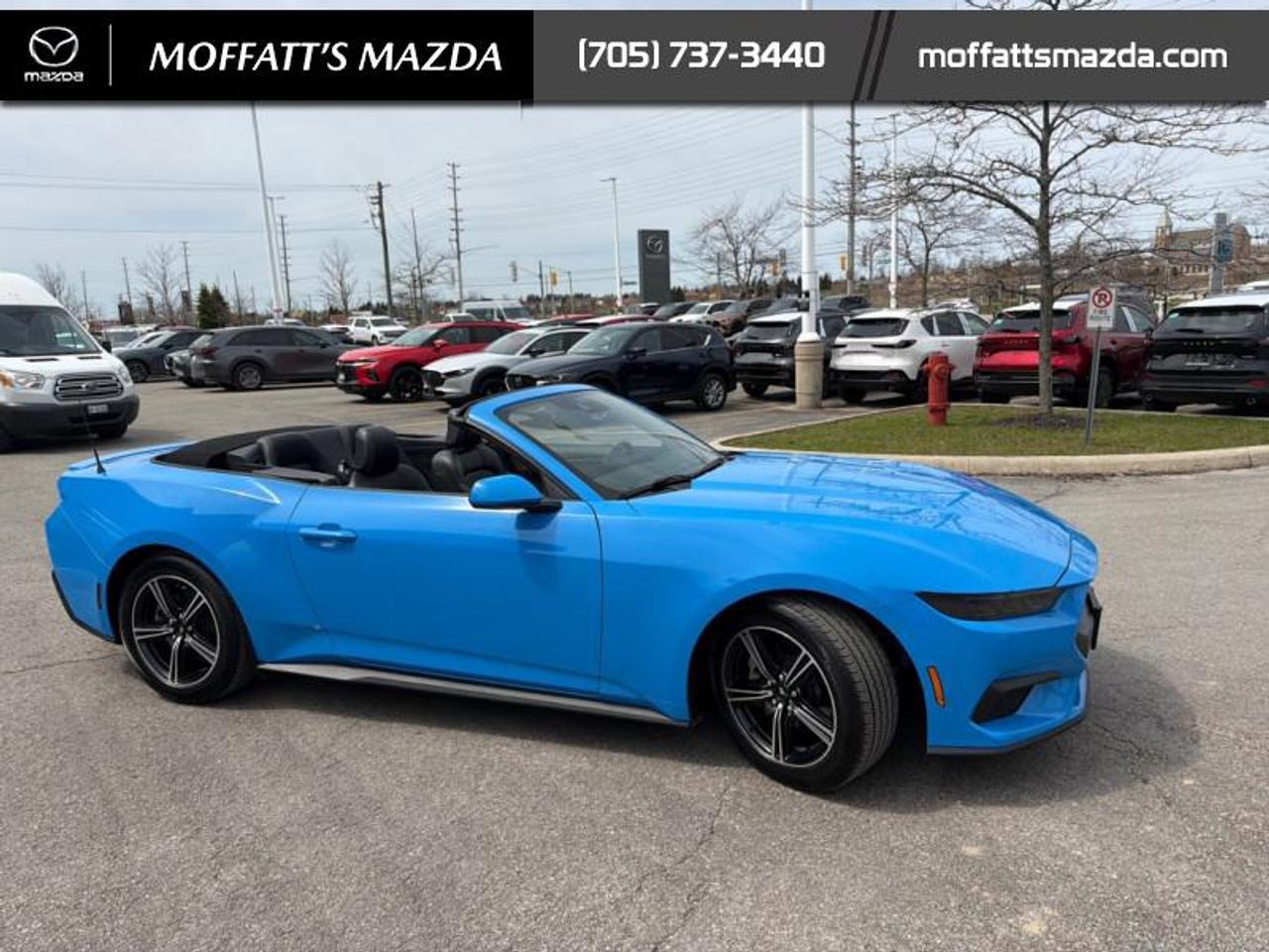 2025 Ford Mustang EcoBoost Photo