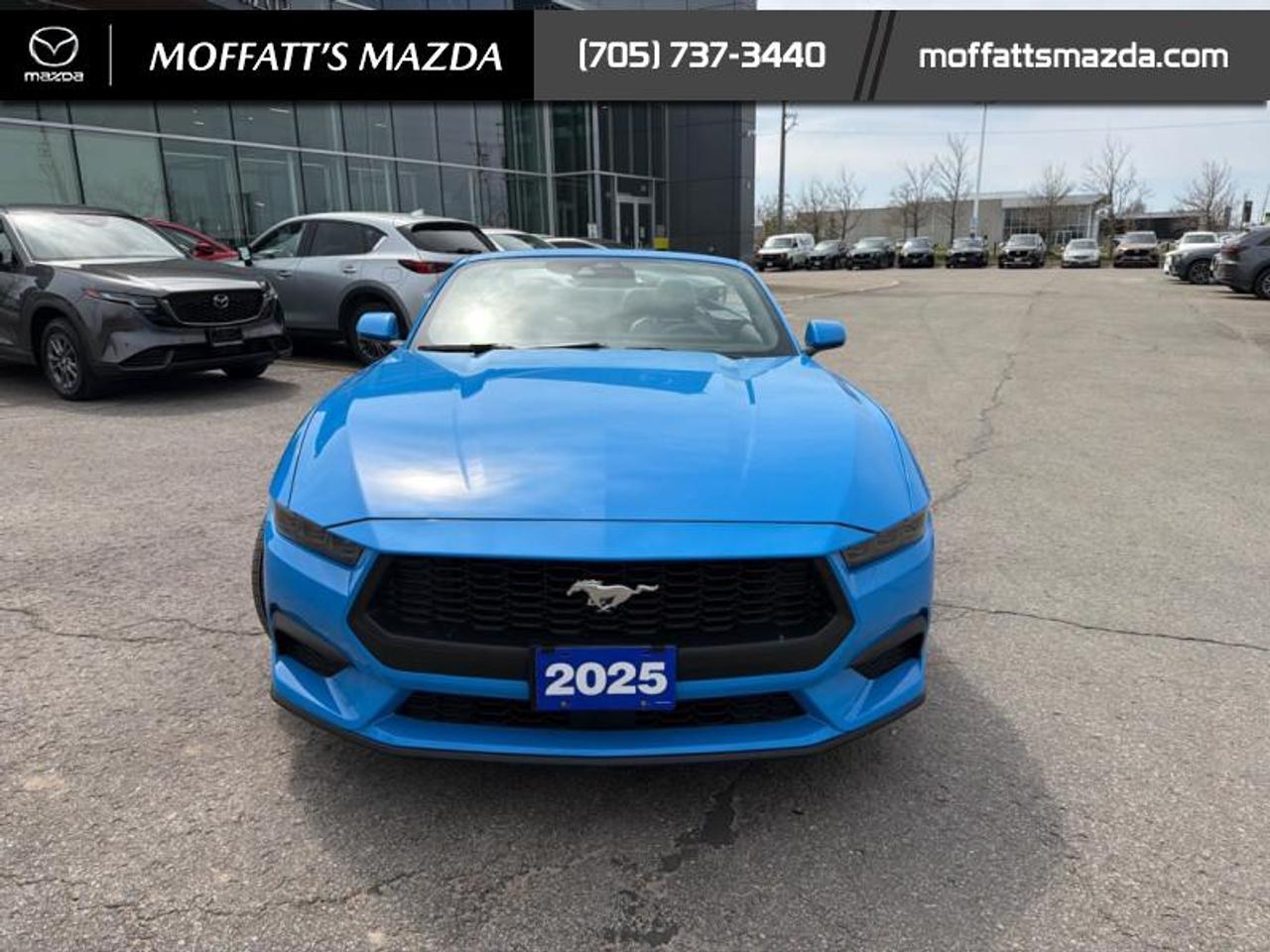 2025 Ford Mustang EcoBoost Photo