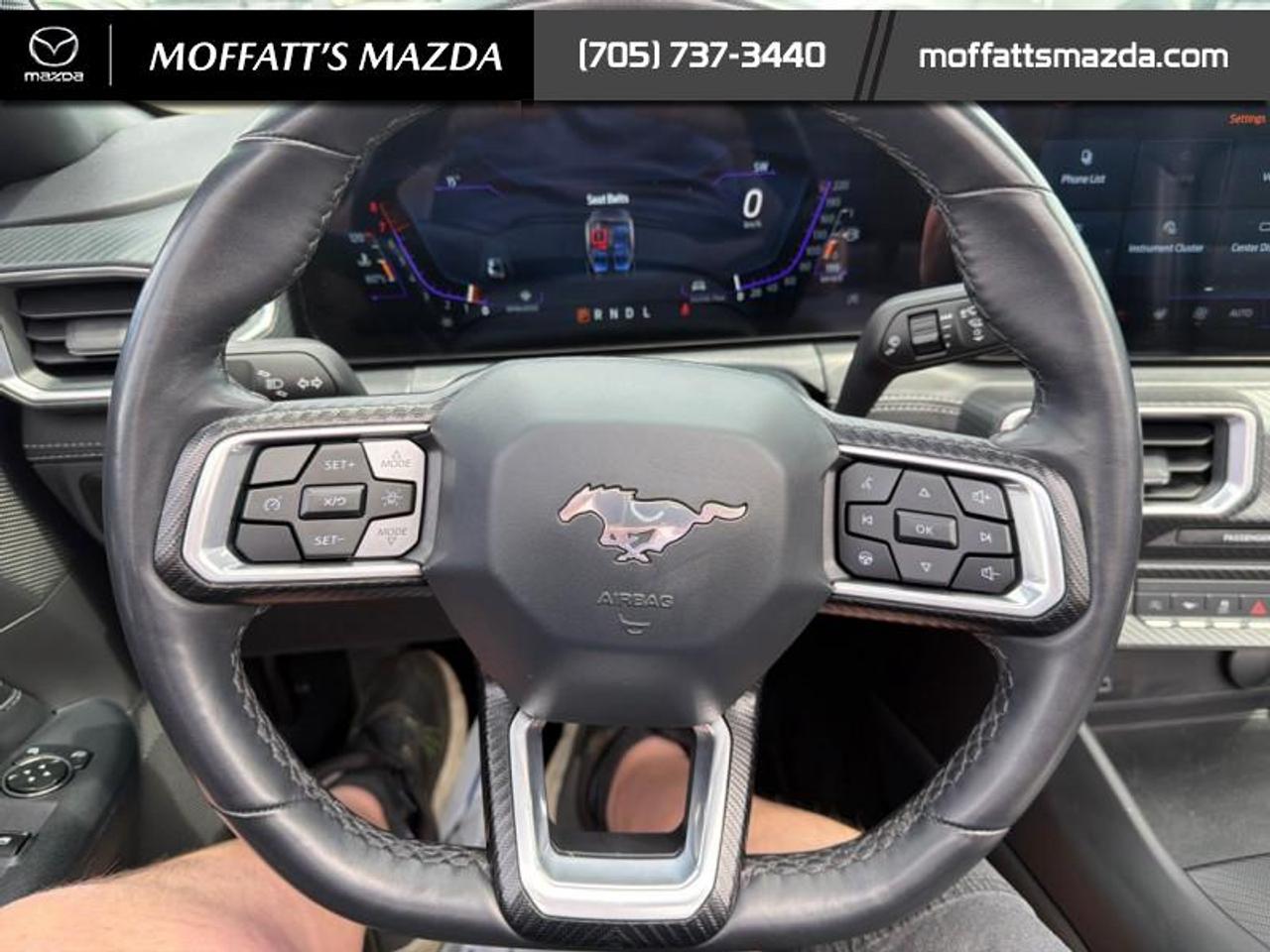2025 Ford Mustang EcoBoost Photo