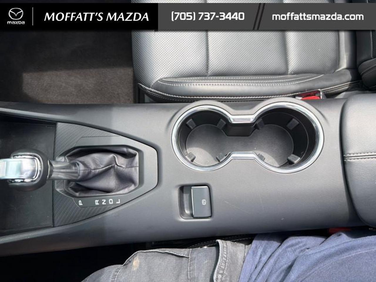 2025 Ford Mustang EcoBoost Photo
