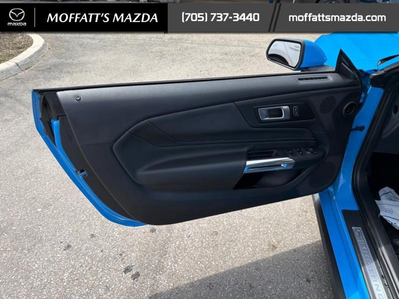 2025 Ford Mustang EcoBoost Photo